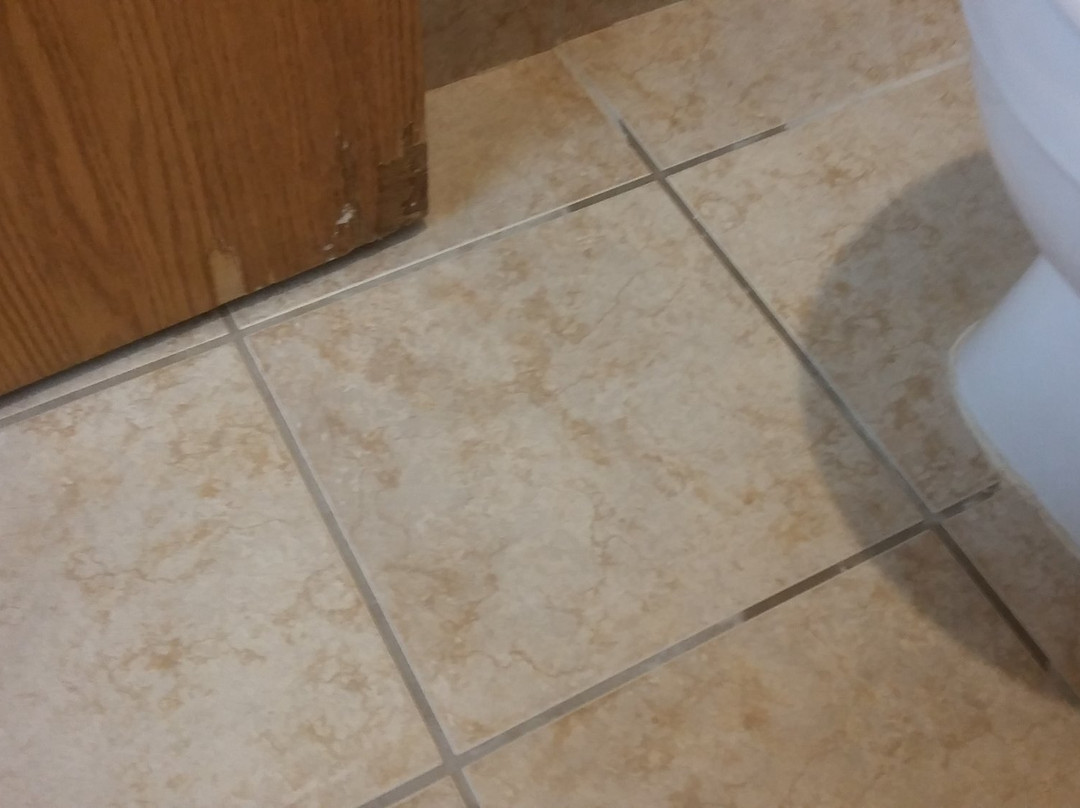 贝斯特韦斯特奥格尔斯比酒店主图