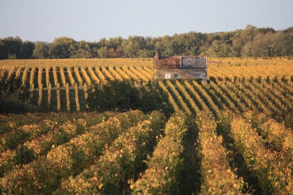 Domaine de La Croix Mélier景点图片