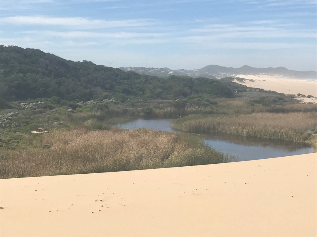 Oyster Bay Lodge主图