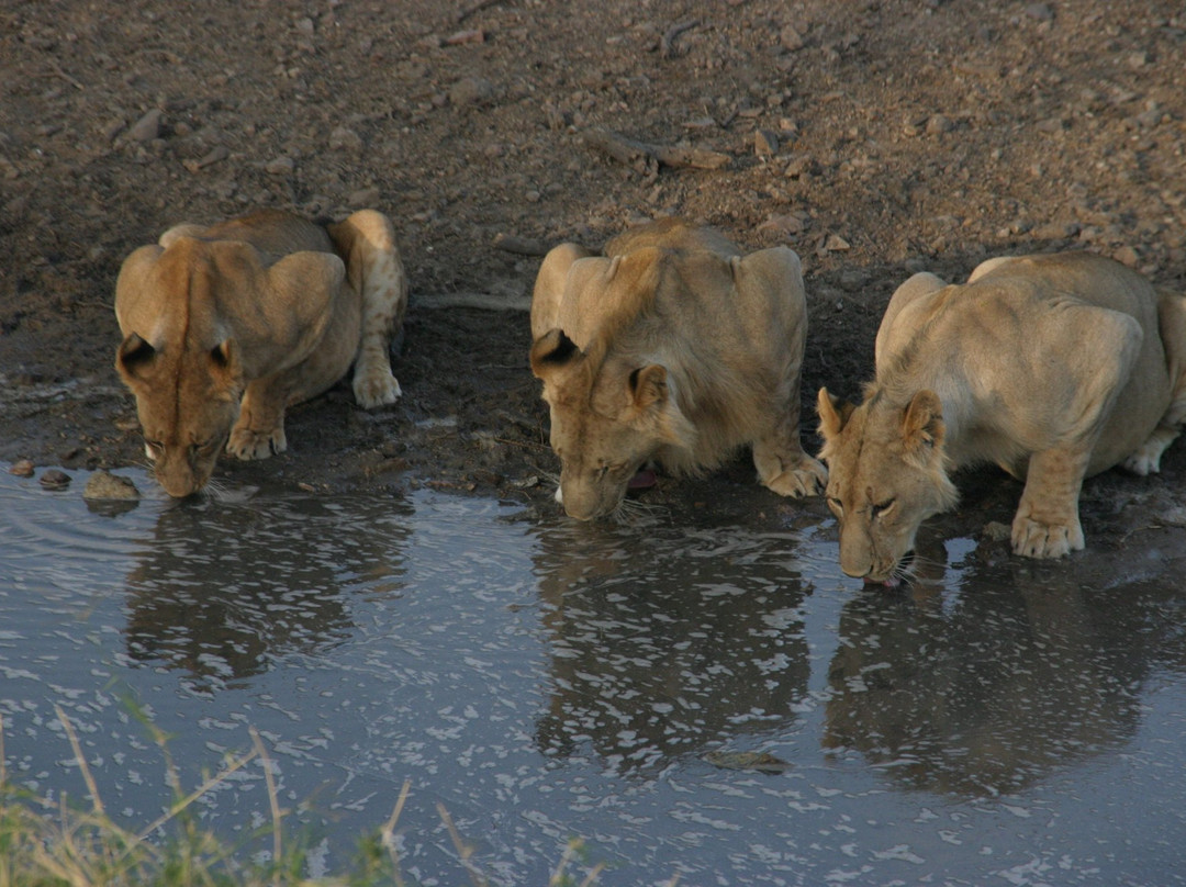 Napanda Tours and Safaris-阿鲁沙必去景点