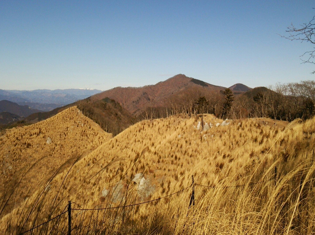 Mt. Omochi