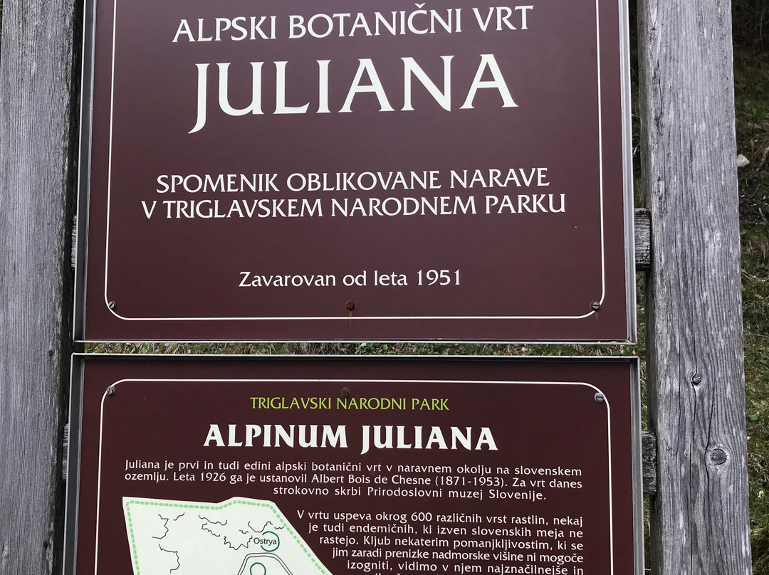 Alpine Botanical Garden Juliana景点图片