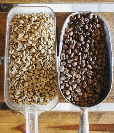 Maya Amazing Adventures-梅里达必去景点