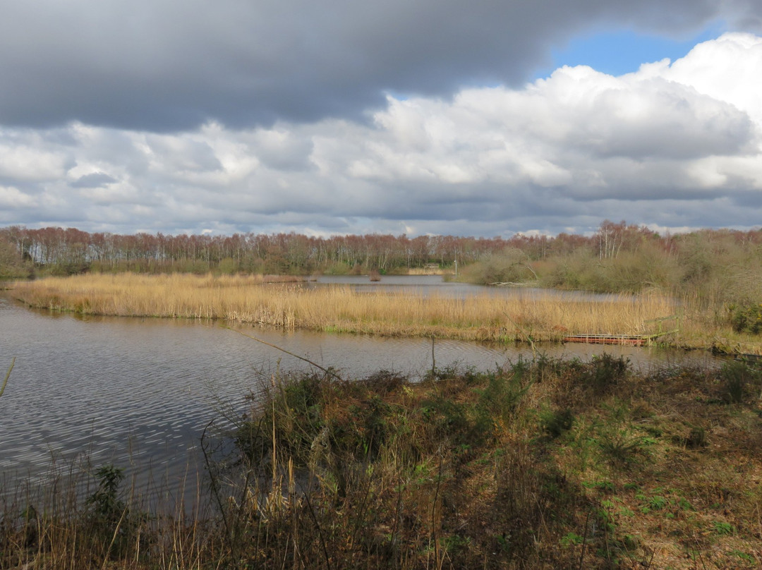 Mere Sands Wood Nature Reserve景点图片