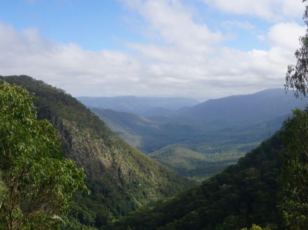 Guy Fawkes River National Park景点图片