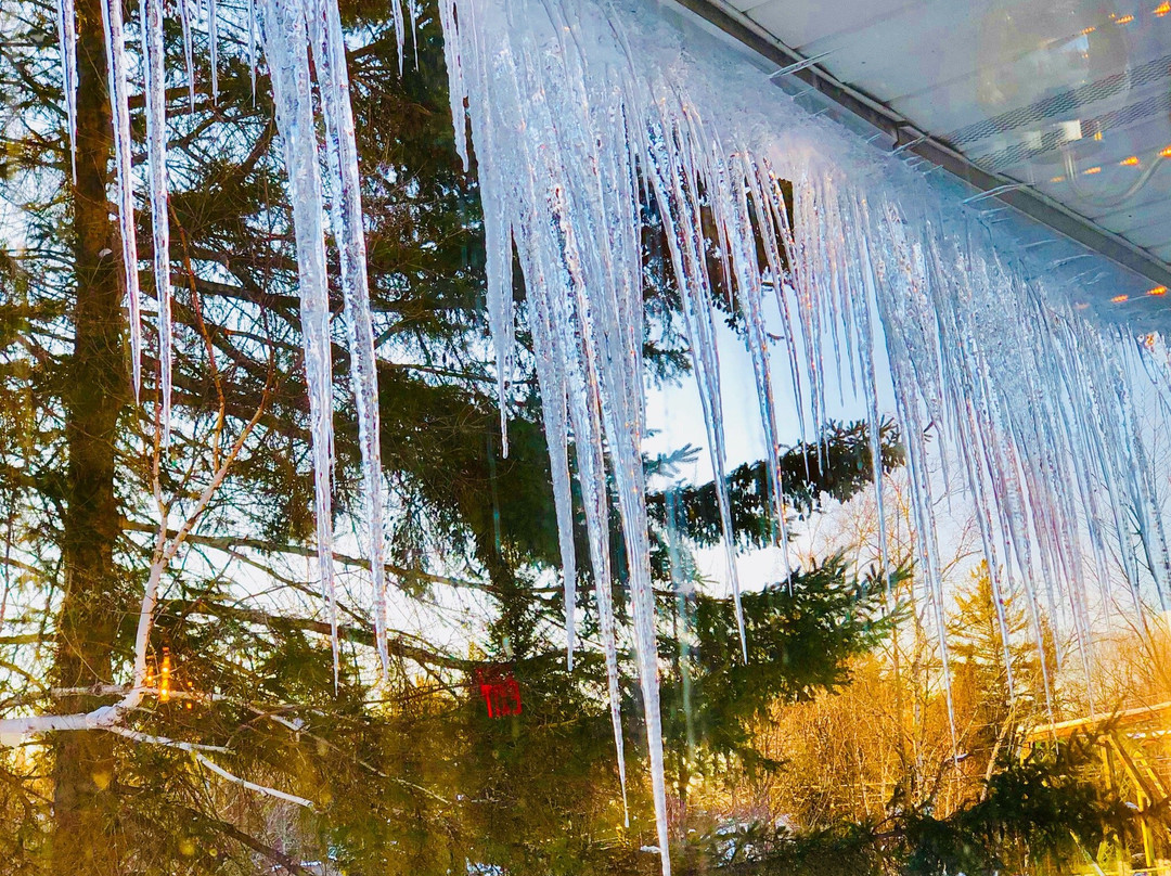 The Wayside Inn主图