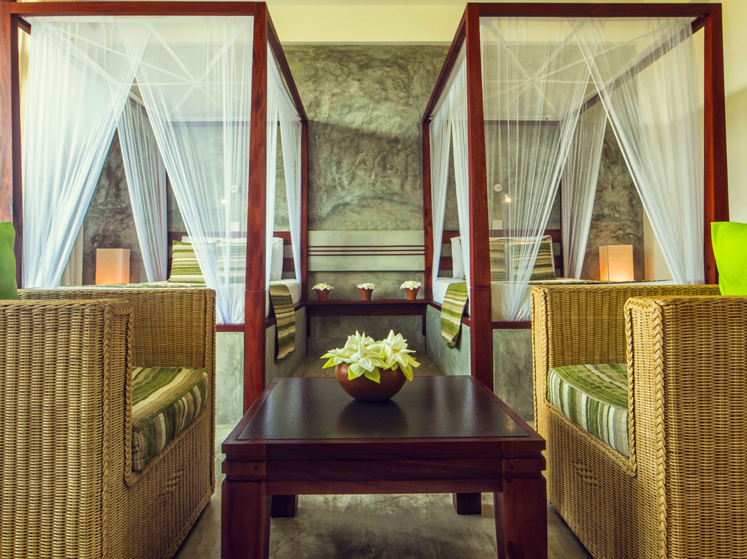 Amba Ayurveda Hotel主图