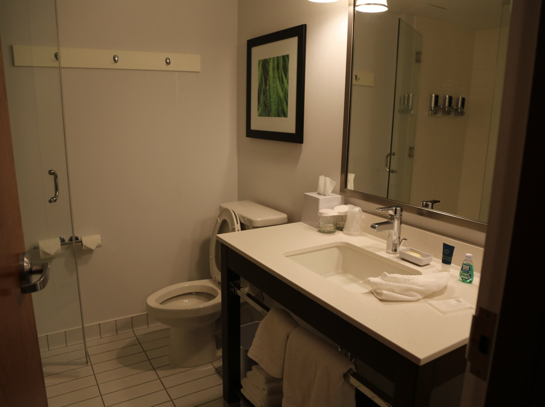 蒙克顿福朋喜来登酒店主图