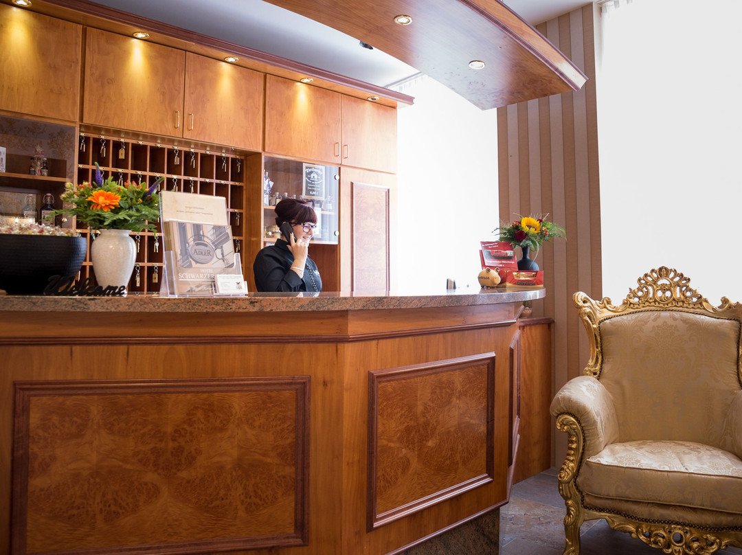 施瓦泽尔安德尔环形酒店主图