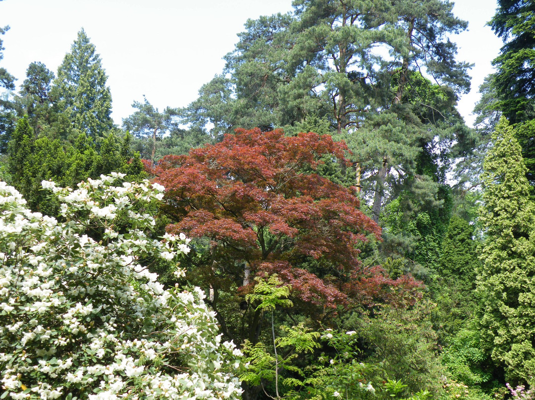 Arboretum Novy Dvur景点图片