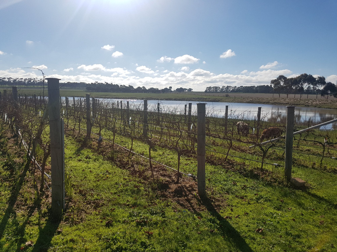 Wilsons Wine Tours Geelong-季隆必去景点