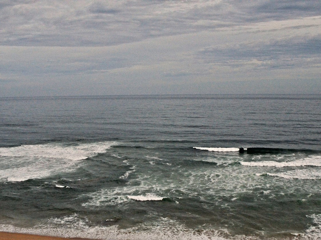 Wilderness Ocean Guesthouse主图