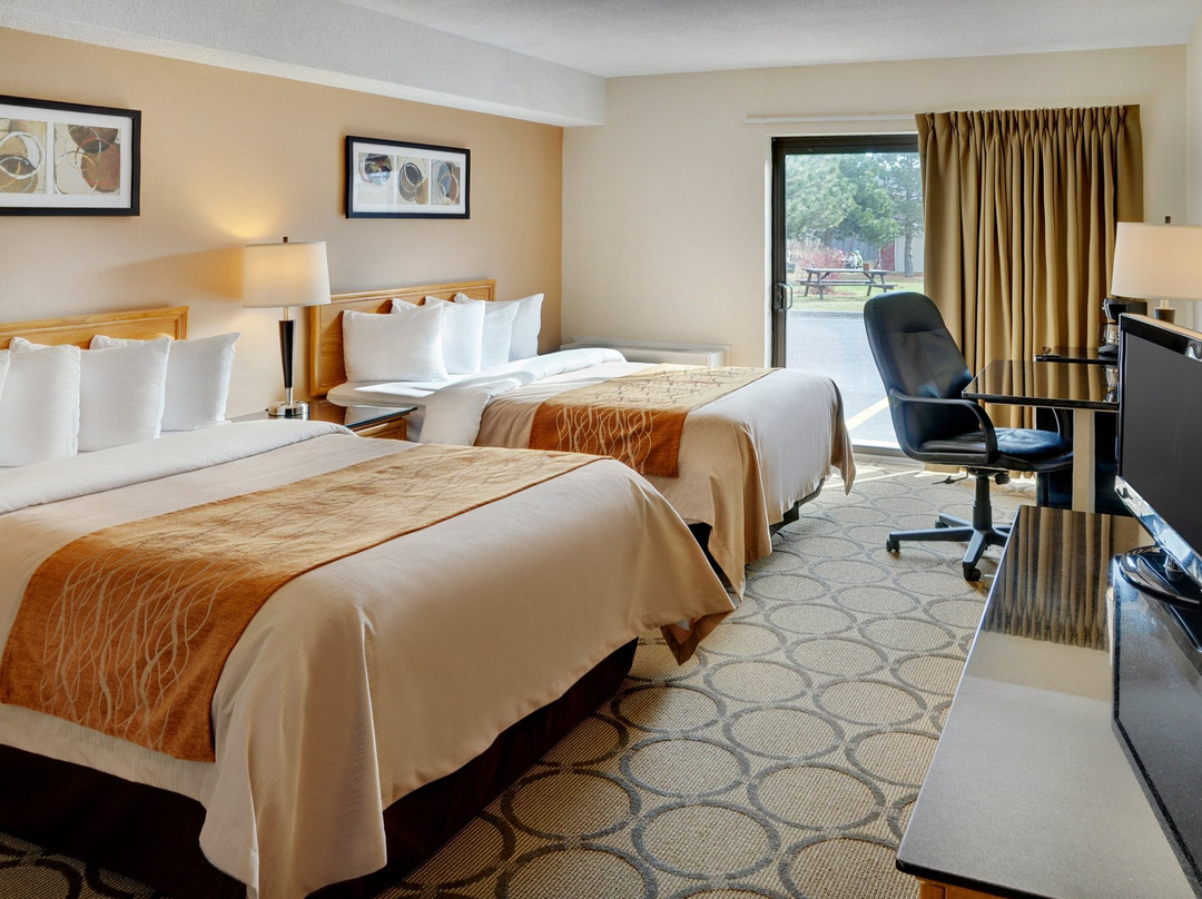 Comfort Inn Prince Albert主图