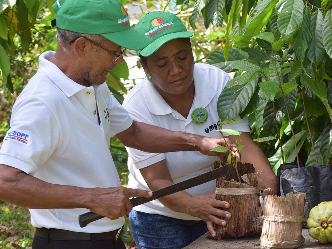 Hacienda Cufa-普拉塔港必去景点