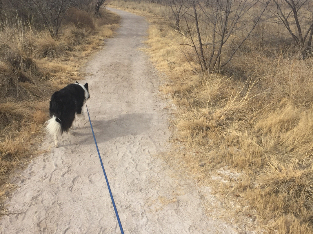 Mesilla Valley Bosque State Park-Mesilla必去景点
