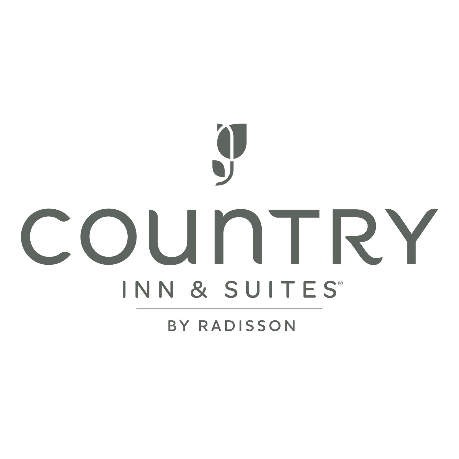 Country Inn & Suites by Radisson, Abingdon, VA-官方