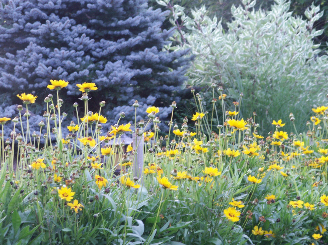 The Gardens at Stillmeadows景点图片