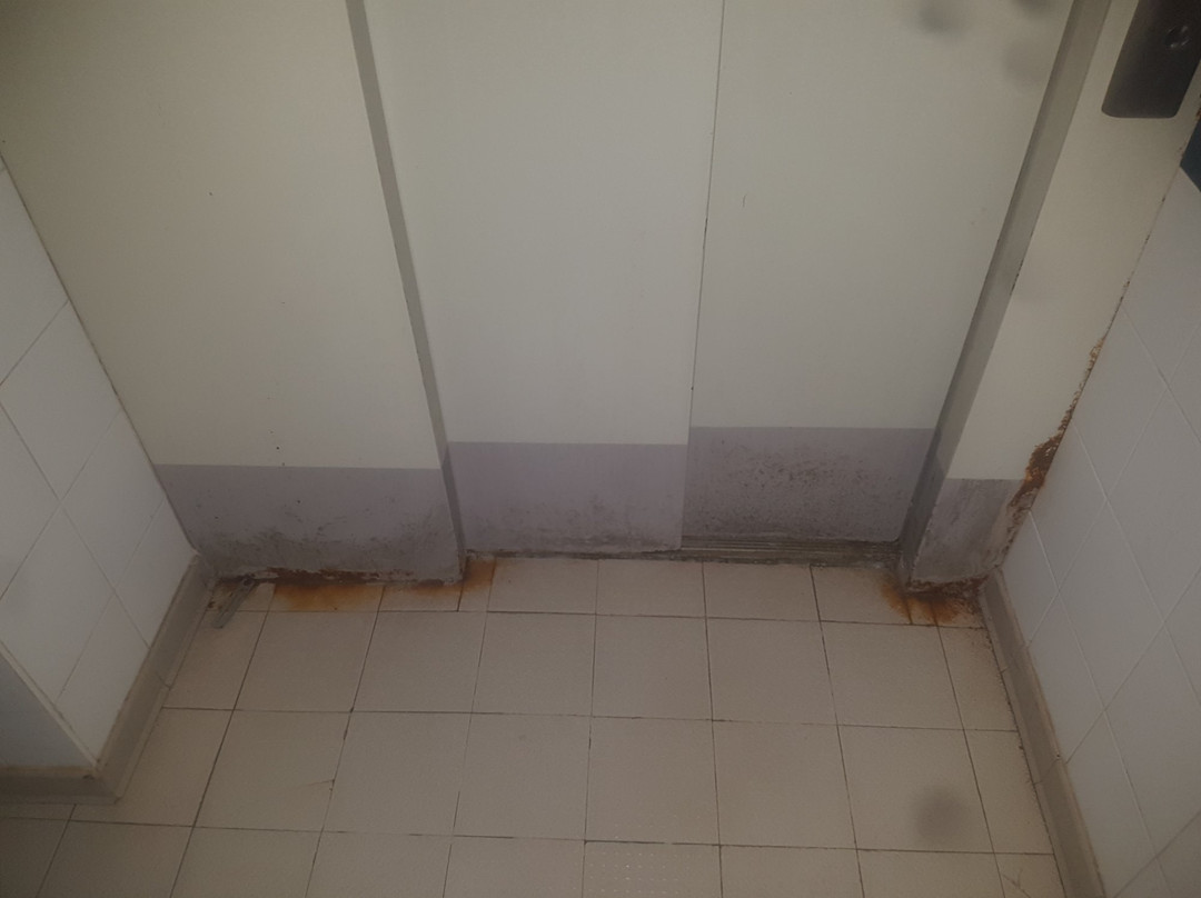 Thalacap  Ile De Ré主图