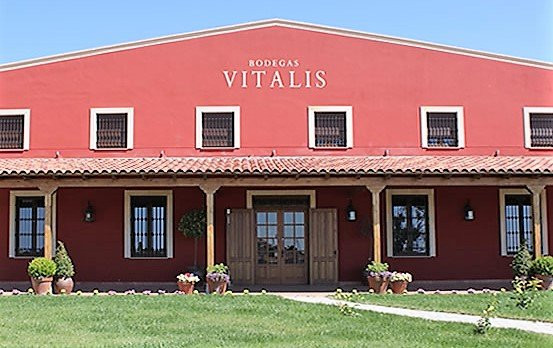 Bodegas Vitalis景点图片