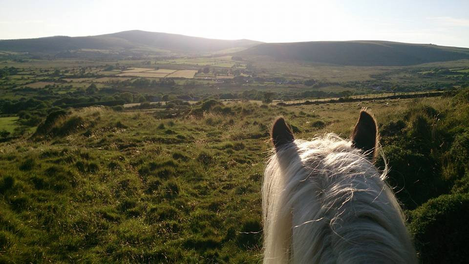 Preseli Pony Trekking景点图片