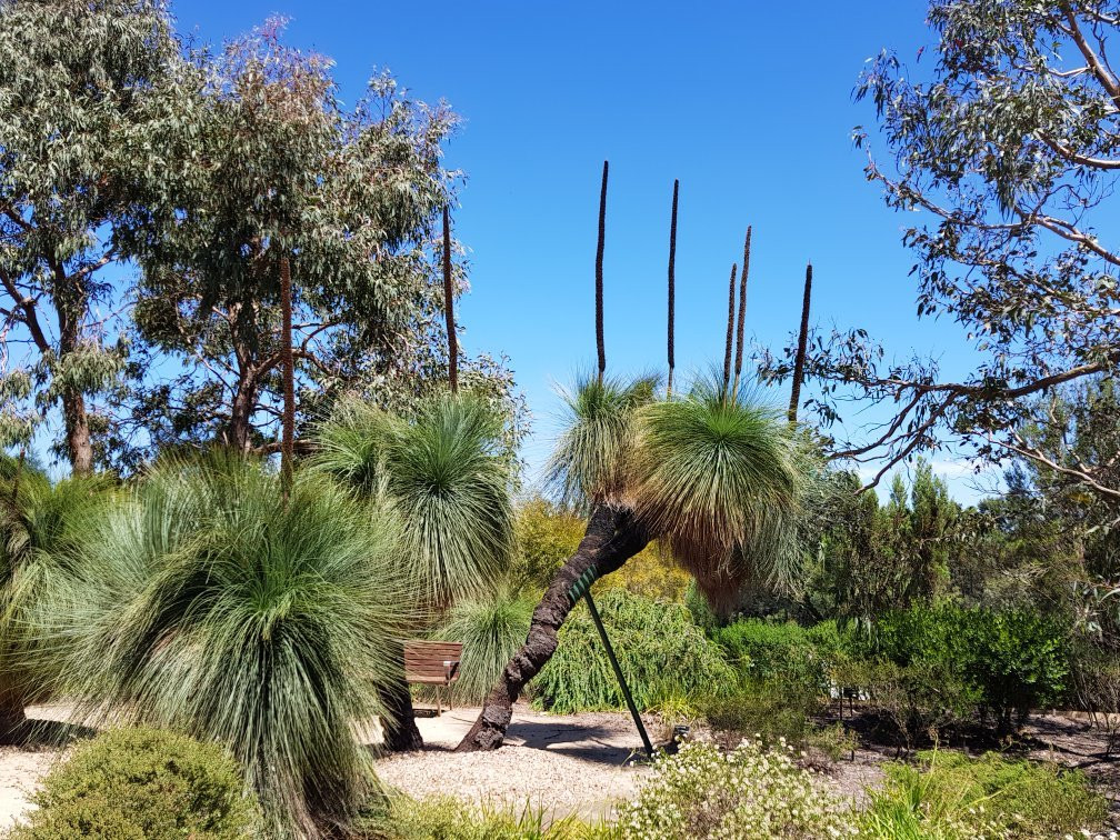 Karwarra Australian Plant Garden-Kalorama必去景点