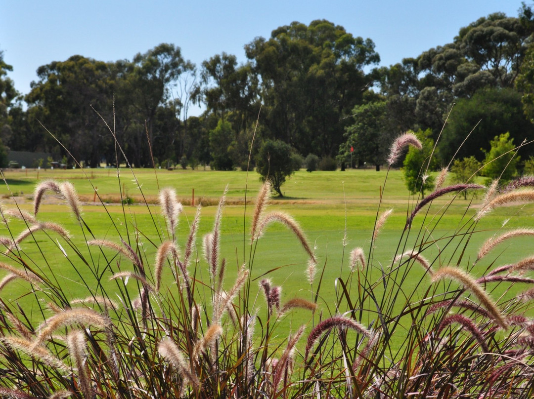 Numurkah Golf & Bowls Club