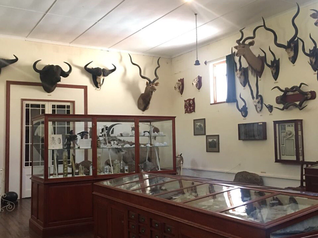 Albany Museum-格拉罕镇必去景点