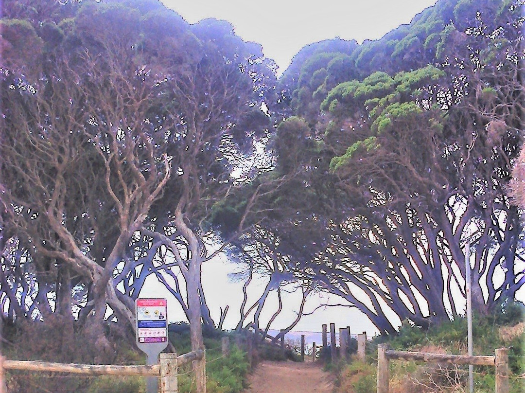 Point Roadknight-安格尔西岛必去景点