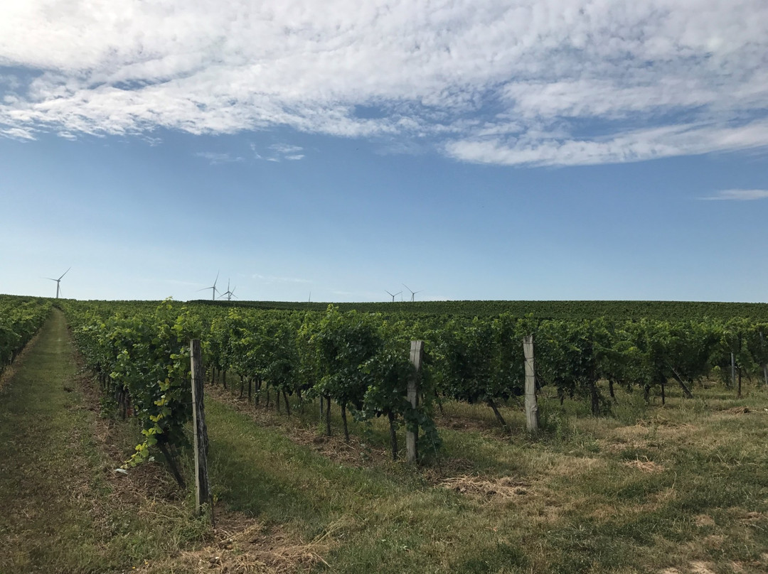 Weingut Heinrich-Deutschkreutz必去景点