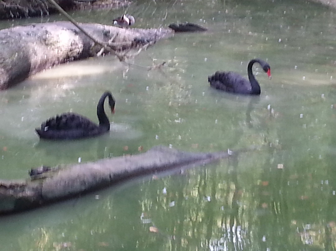 La Pêcherie d'Aurit景点图片
