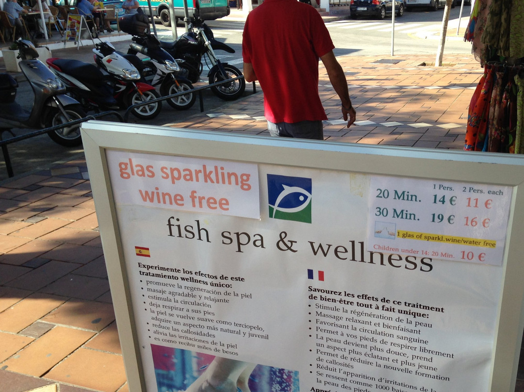 Fish Spa & Wellness-马洛卡岛必去景点