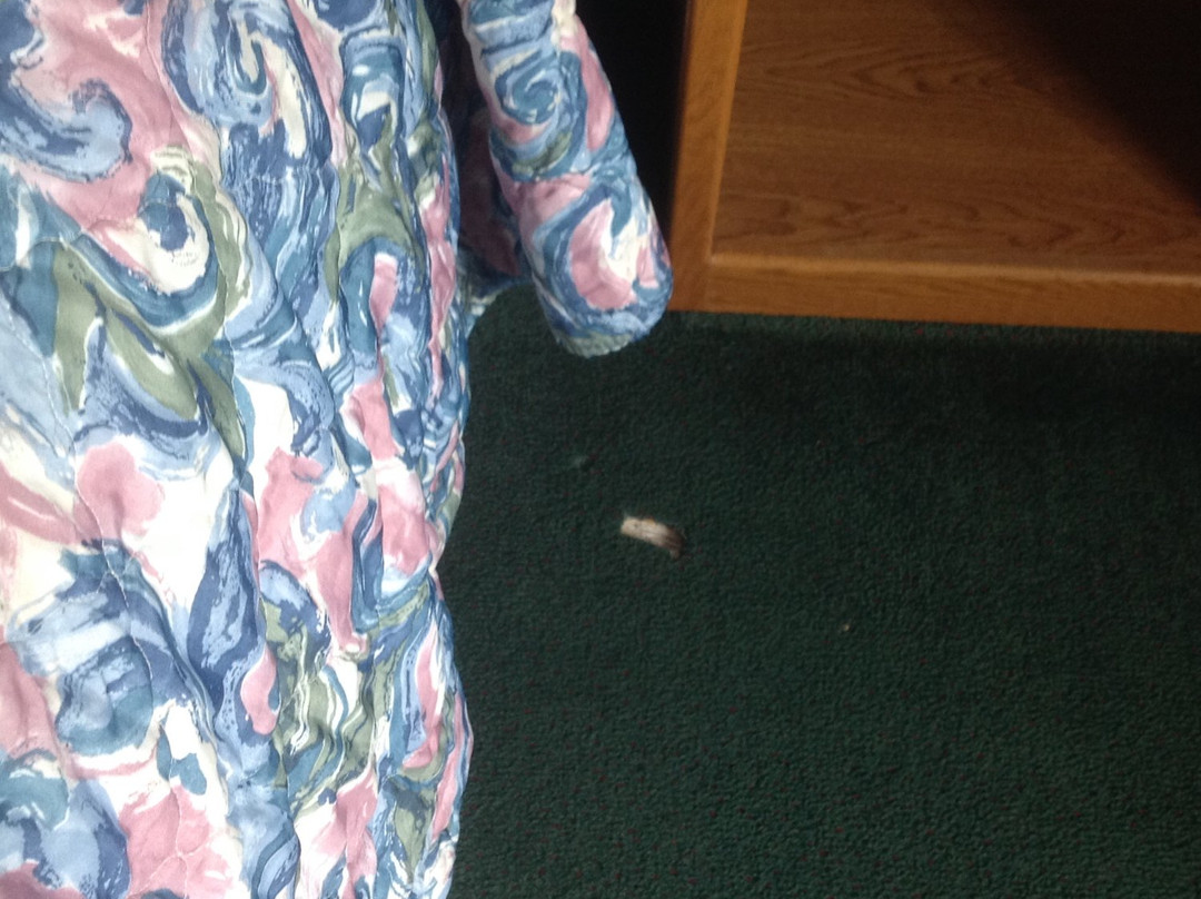 Budget Host Inn & Suites主图