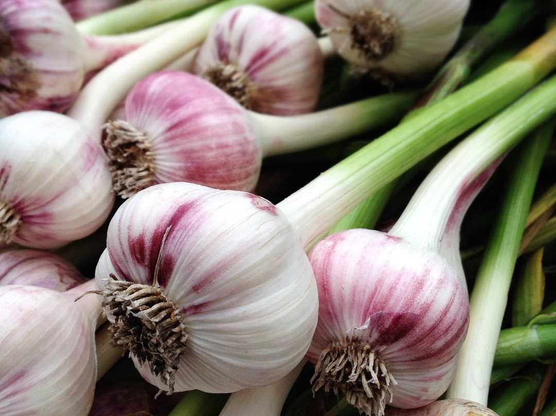 Regina Farmers' Market-里贾纳必去景点