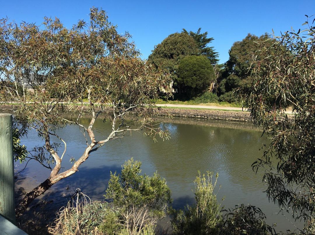 G Woods Reserve景点图片