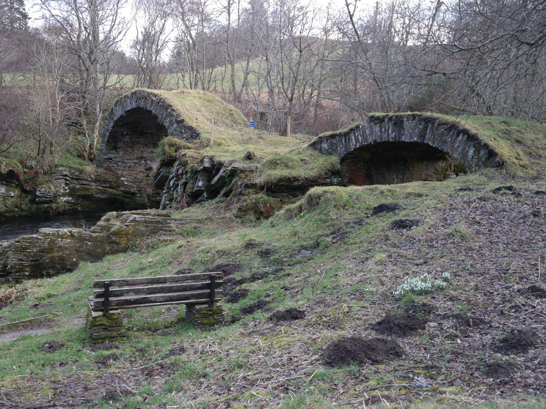 Highland Spirit Tours-Burghead必去景点