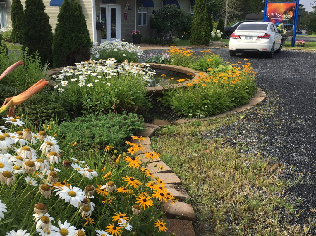 Motel Des Cedres主图