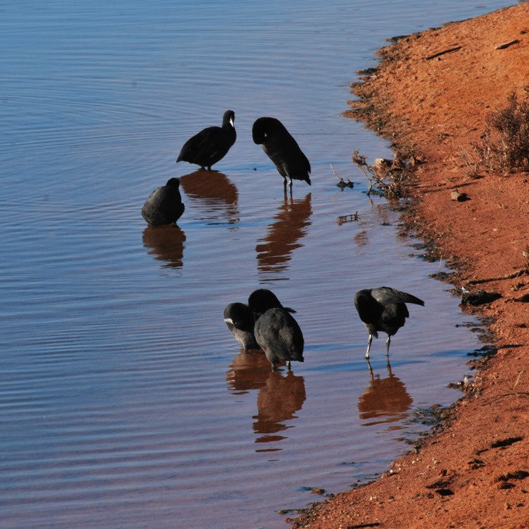 City Heritage Walk-Whyalla必去景点