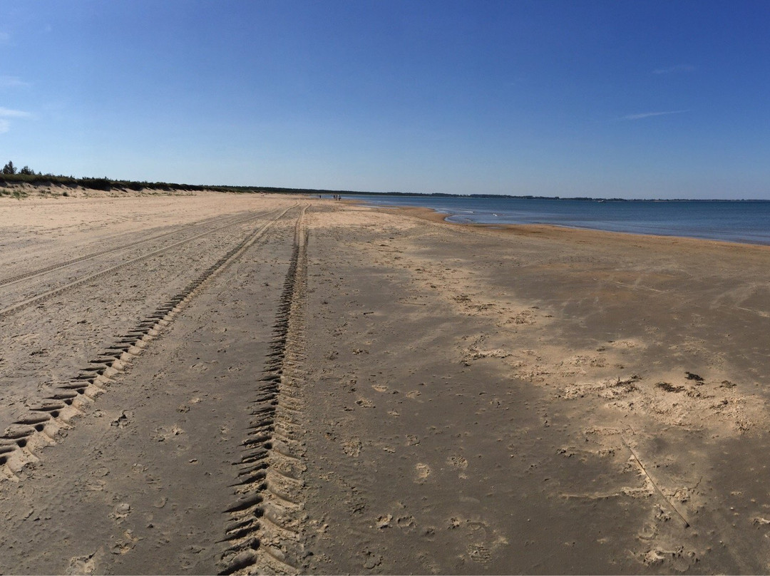 Sibirien Strand-Ängelholm必去景点