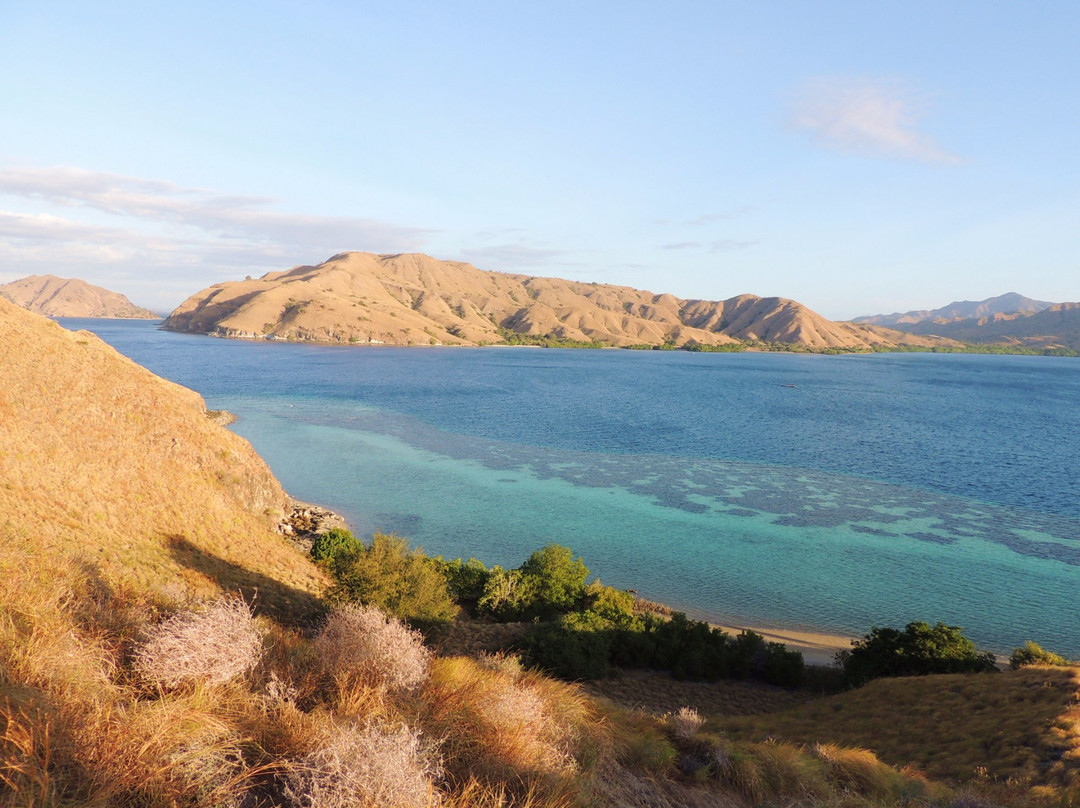 Pengah Reef景点图片