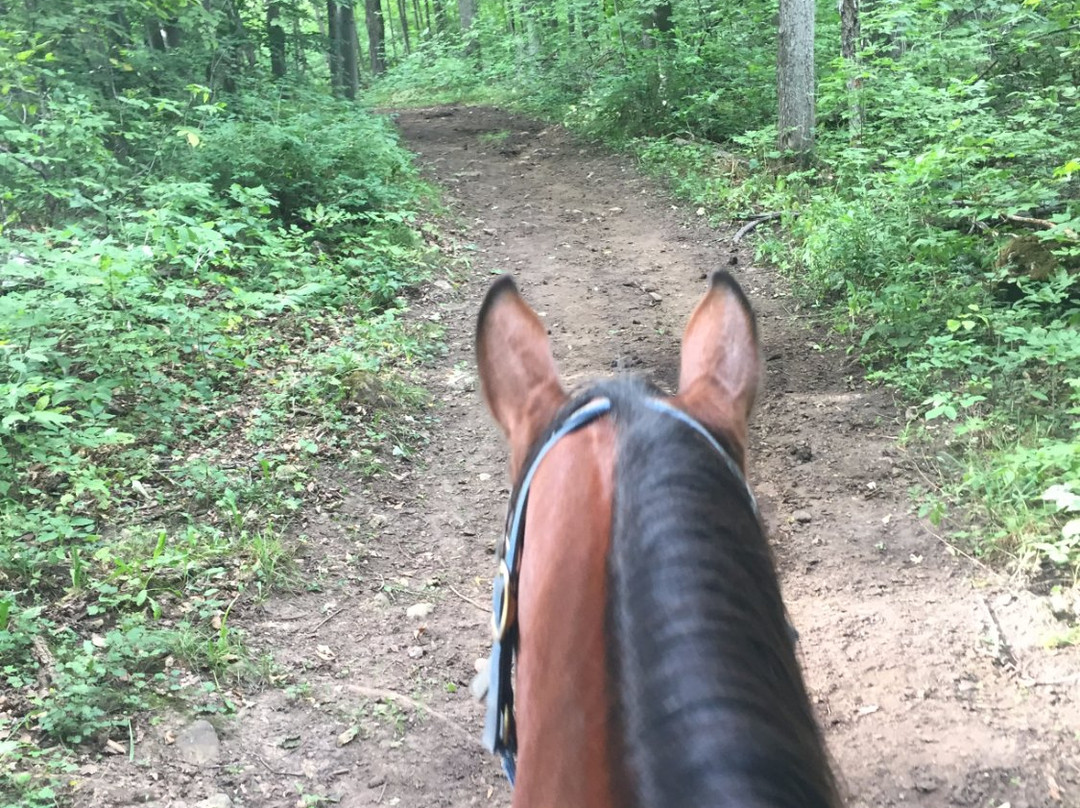 Fallbrook Trail Ranch-Georgetown必去景点