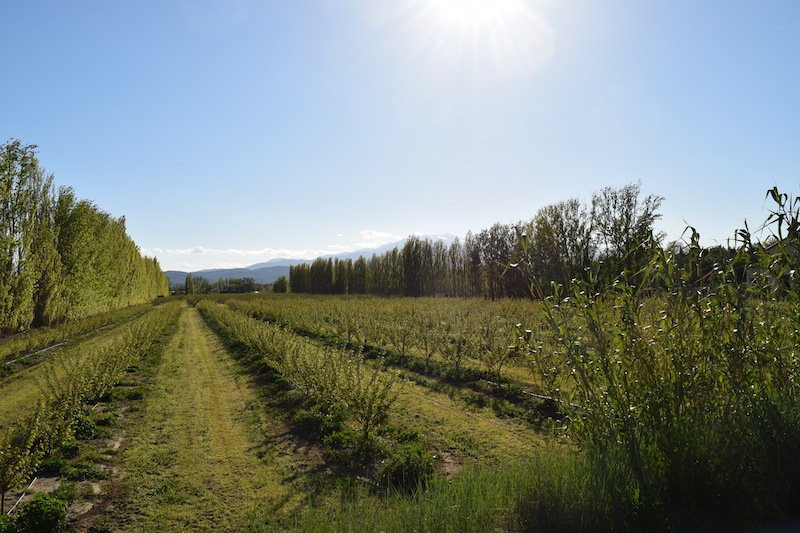 Passa旅游攻略图片