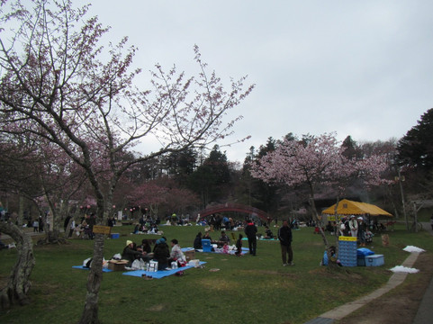 Nenohi Park-厚岸町必去景点