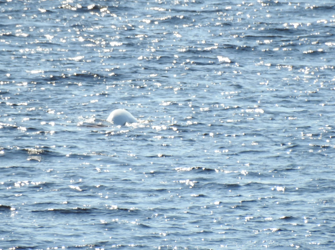Baie Sainte-Marguerite-Sacré-Coeur-Saguenay必去景点