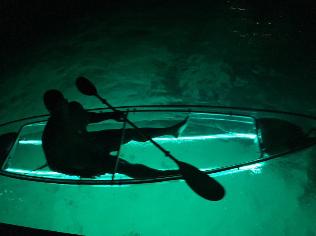 Liquid Glow-Island Harbour必去景点