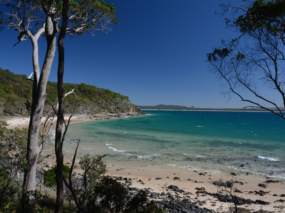 Noosa Main Beach景点图片