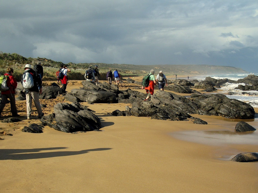 Walks With Nature-维克多港必去景点