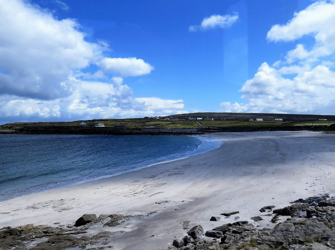 Failte Bus Tour-Inishmore必去景点
