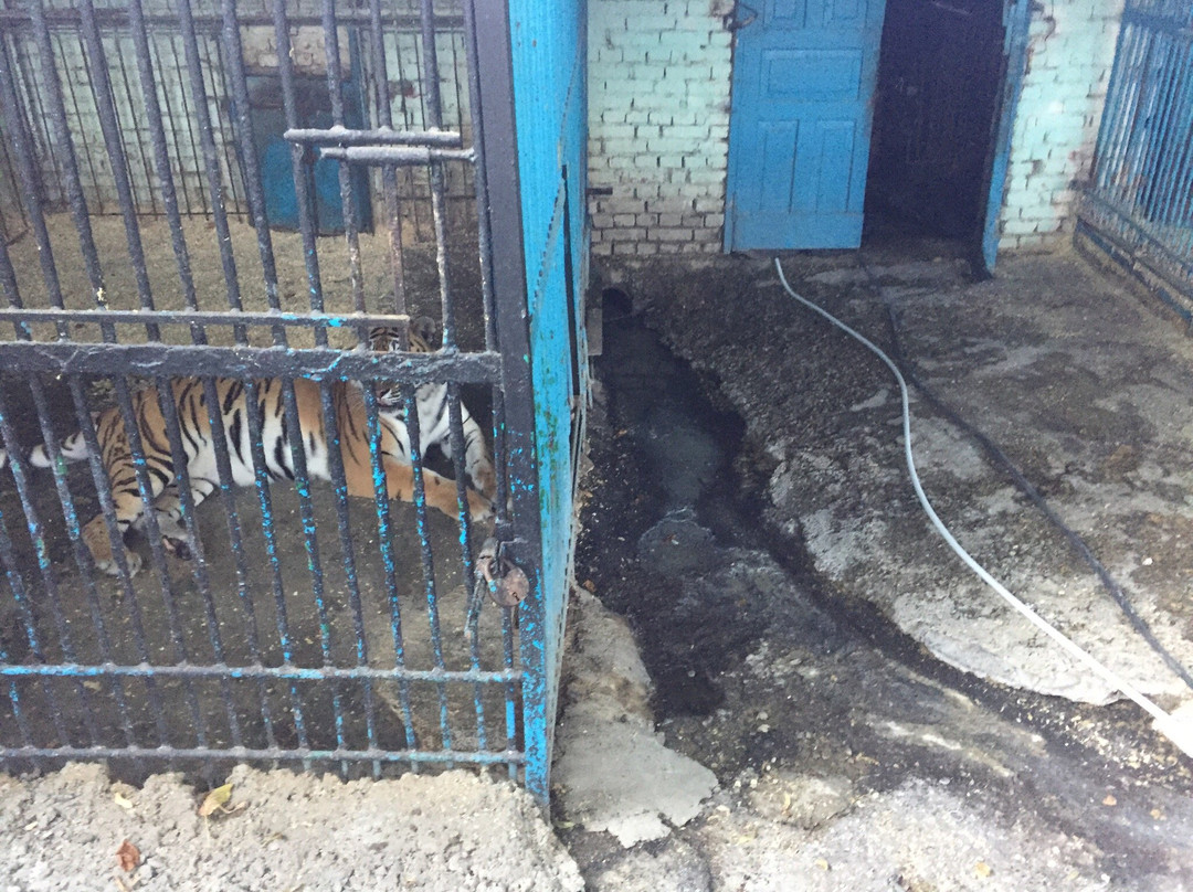 Nalchik Zoo-Nalchik必去景点