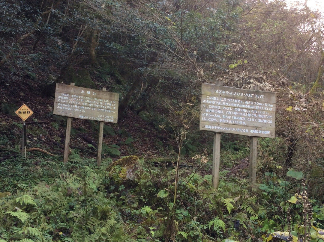 Mt. Iwara-二丈町必去景点