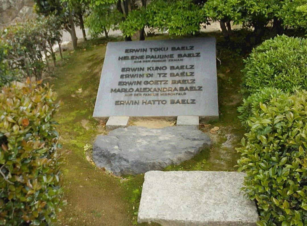 Saimyoji Temple-丰川市必去景点